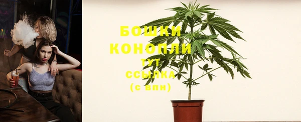 гашик Аркадак