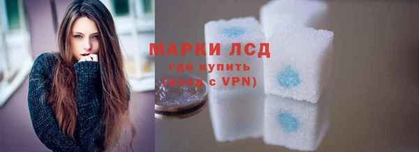 гашик Аркадак