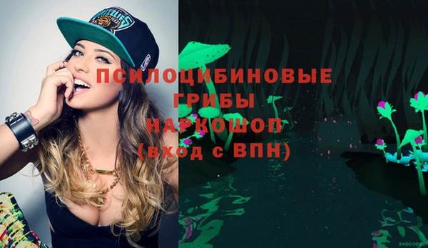гашик Аркадак