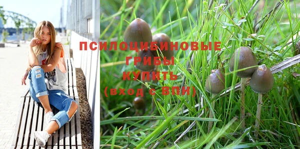 гашик Аркадак