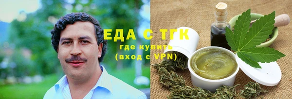 индика Нязепетровск